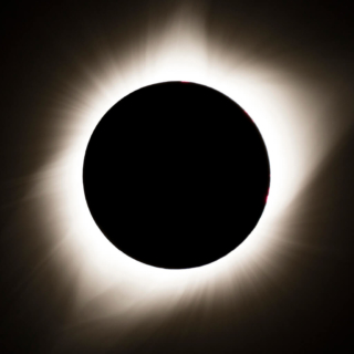 Corona square 72p