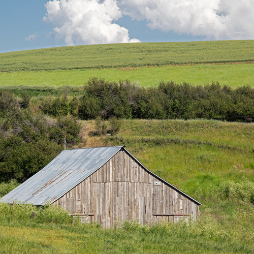 Old Barn, Field and Clouds