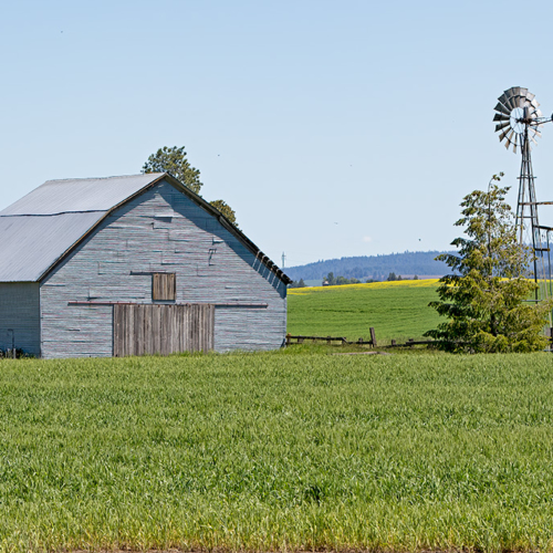 Old Barn and Windmill