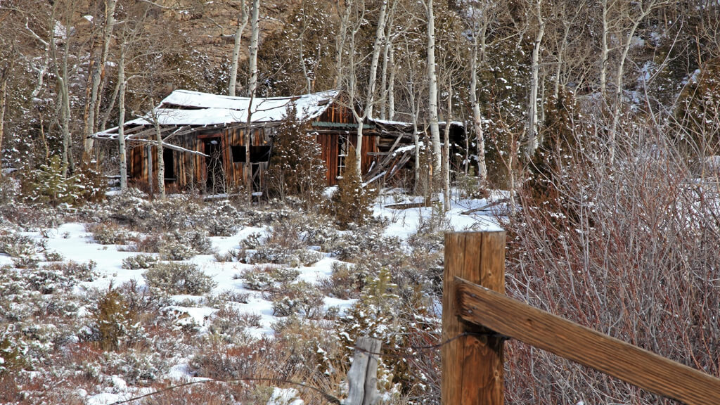 Old Cabin in Poudre Canyon